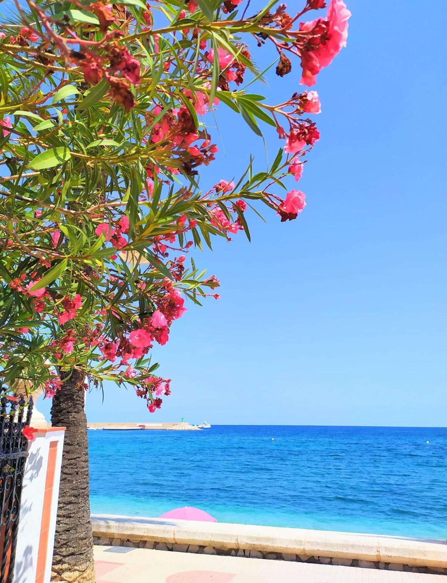 Javea Arenal Beach Exteriör bild