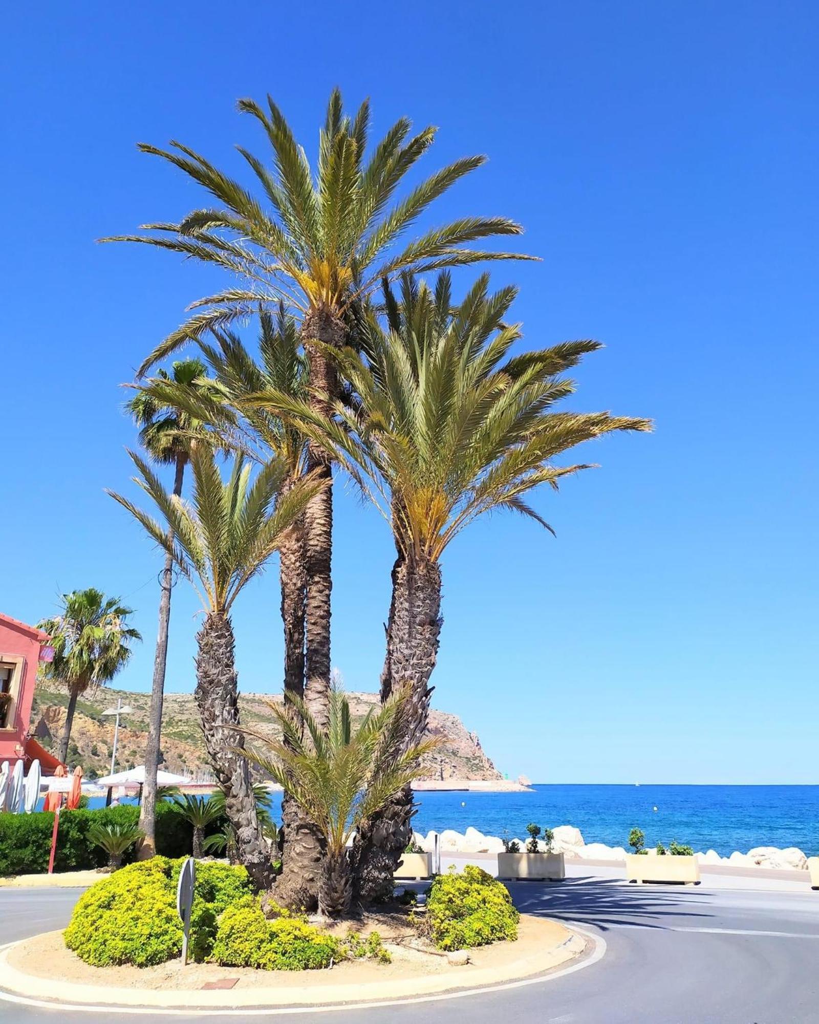 Javea Arenal Beach Exteriör bild